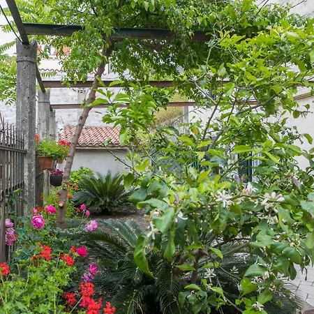 Apartment Apartment & Room Korta Vilea Dubrovnik